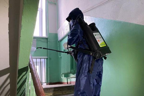 215 рабочих ежедневно убирают придомовые территории в Московском районе