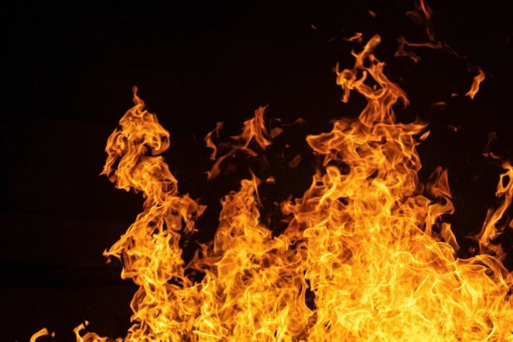 Фото Чрезвычайная пожароопасность в нижегородских лесах сохранится до 13 июня - Новости Живем в Нижнем