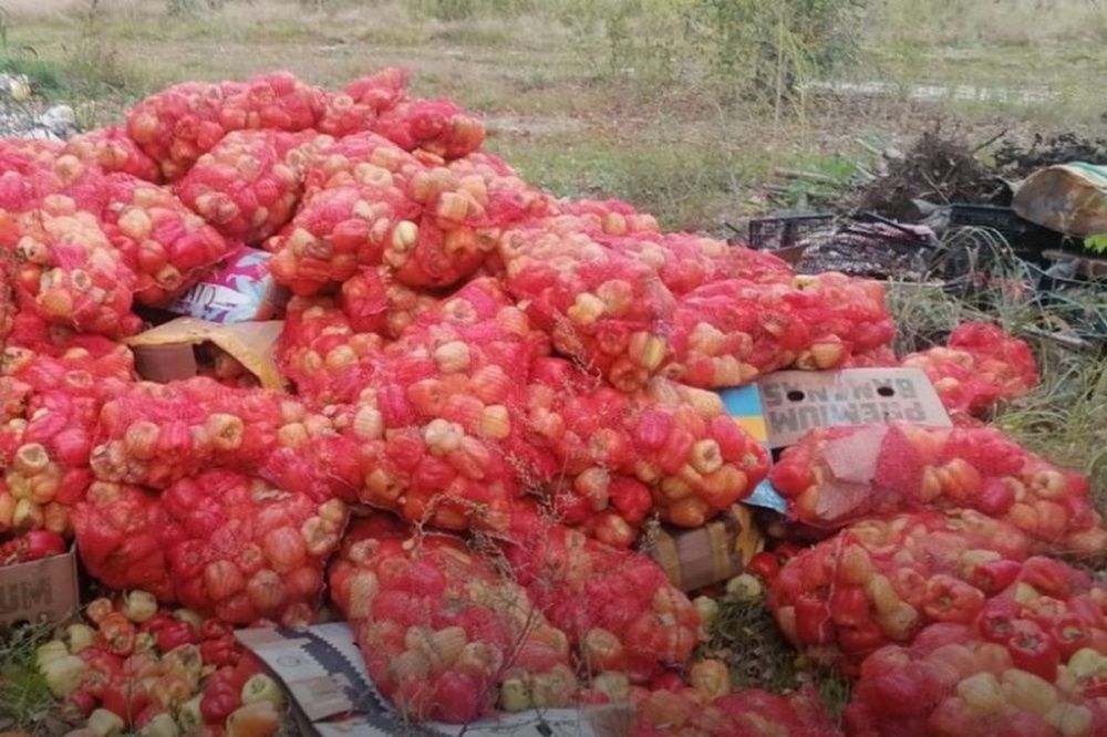 Нижегородцы обнаружили свалку перцев в лесу под Дзержинском