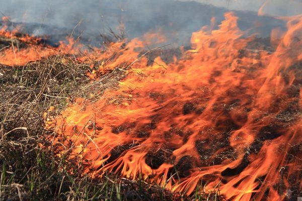 Высокая пожароопасность сохранится в Нижегородской области до 28 июля