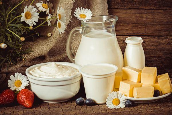 Молочная продукция нижегородских производителей взяла «золото» международного конкурса 
