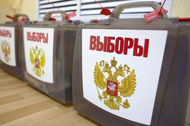 Фото Около 18% нижегородцев проголосовали к трём часам дня - Новости Живем в Нижнем