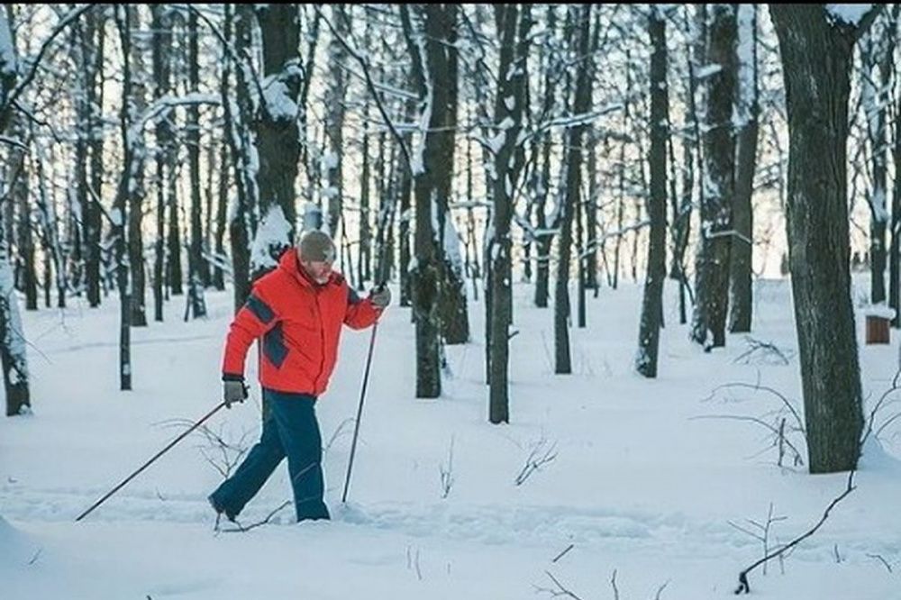 Лыжную трассу проложили в обновлённом парке «Швейцария» в Нижнем Новгороде