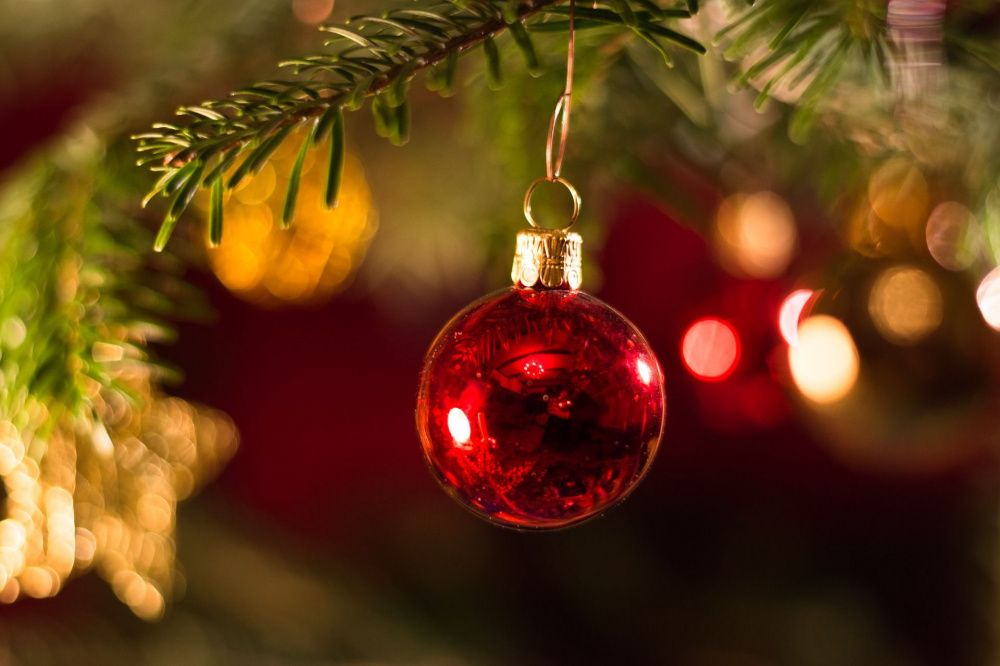 Нижегородские школы и детсады смогут провести новогодние ёлки в декабре