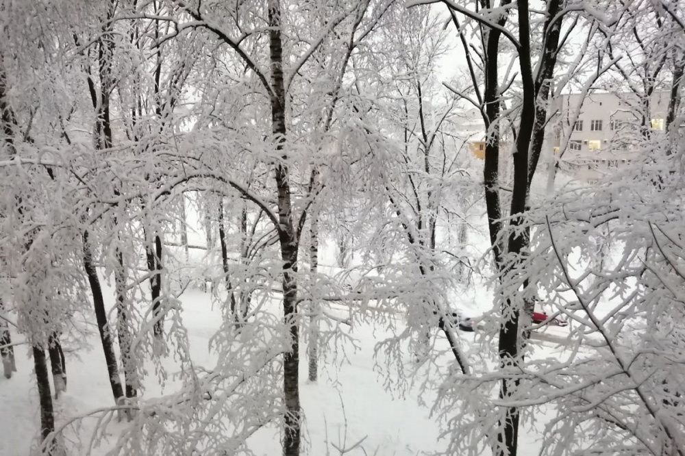 Ледяной дождь и гололёд ожидаются в Нижнем Новгороде 17 декабря