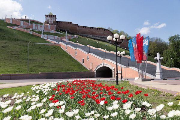 Более 10 млн рублей потратят на цветники к юбилею Нижнего Новгорода 