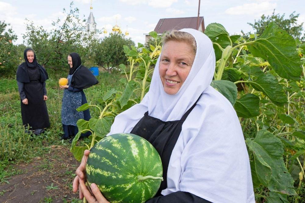 Фото Монахини собрали богатый урожай арбузов в Нижегородской области - Новости Живем в Нижнем
