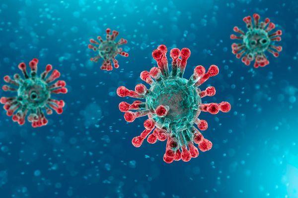 В 10 муниципалитетах Нижегородской области не были зарегистрированы случаи коронавирусной инфекции 5 февраля 2021 года