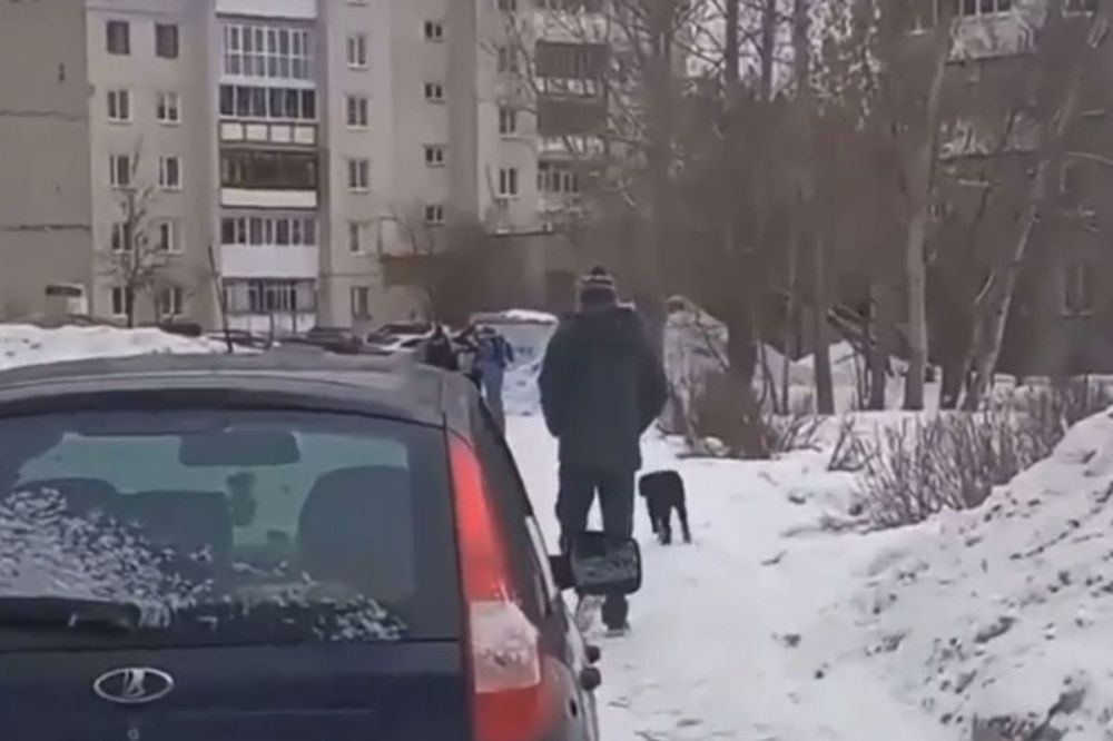 Мужчина выстрелил в собаку на глазах у прохожих в Дзержинске