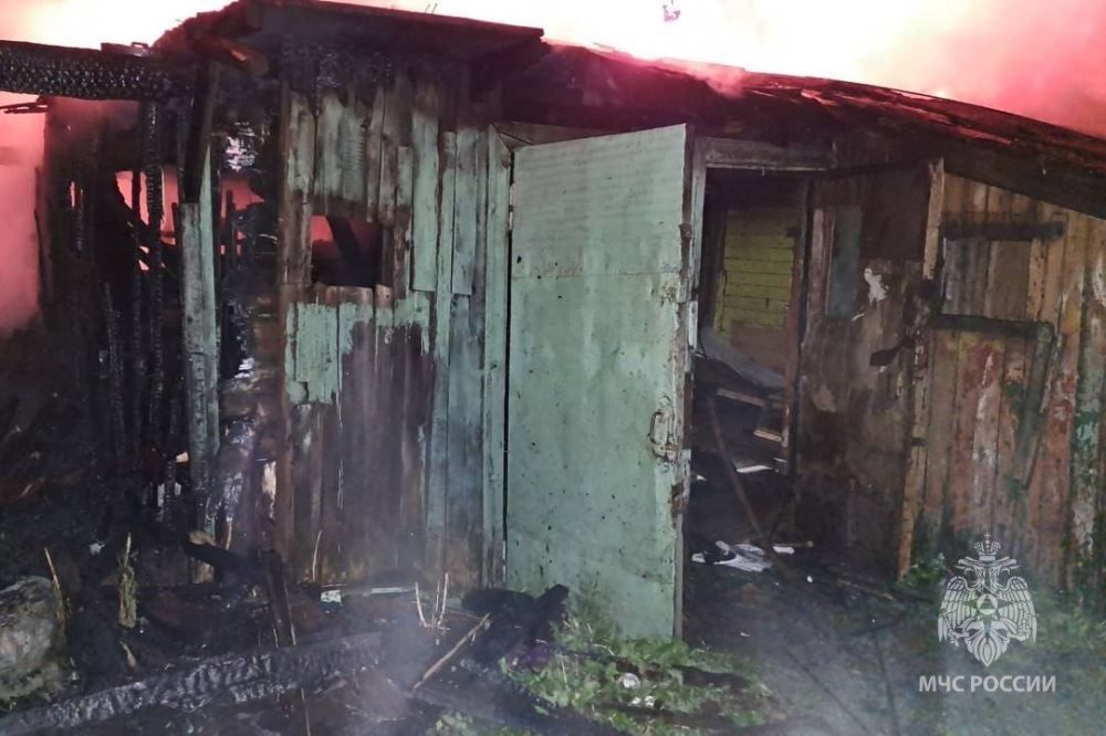 Массив сараев сгорел на улице Яблоневой в Нижнем Новгороде 25 мая 