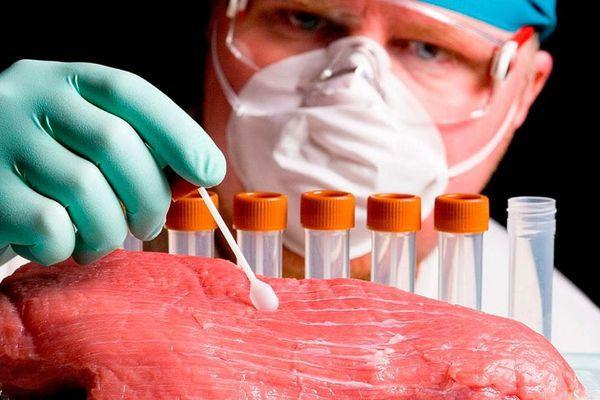 Антибиотики обнаружили в 20 пробах мяса и молока в Нижегородской области