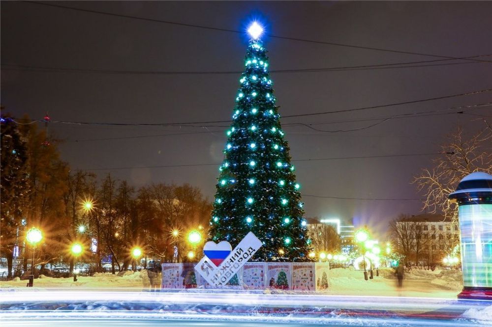 Фото Нижний Новгород купил новогодние елки за полмиллиона рублей - Новости Живем в Нижнем