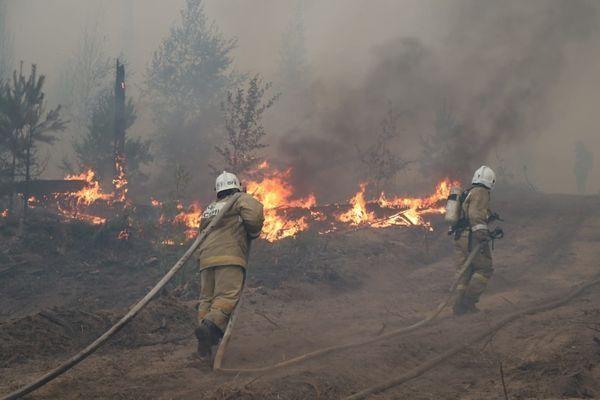 Площадь лесного пожара в Мордовском заповеднике увеличилась до 3 тысяч га