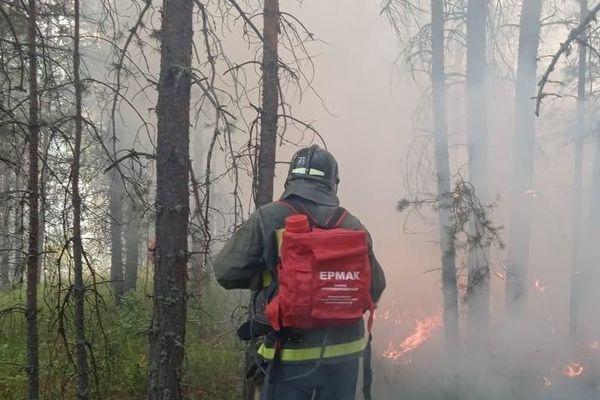 Режим ЧС ввели из-за пожара в деревне Валтово Навашинского района