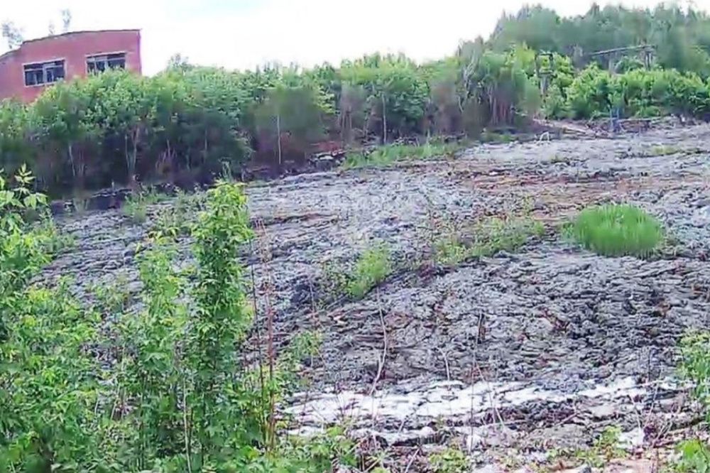 Нарушения экологии выявили на картонной фабрике в Балахне