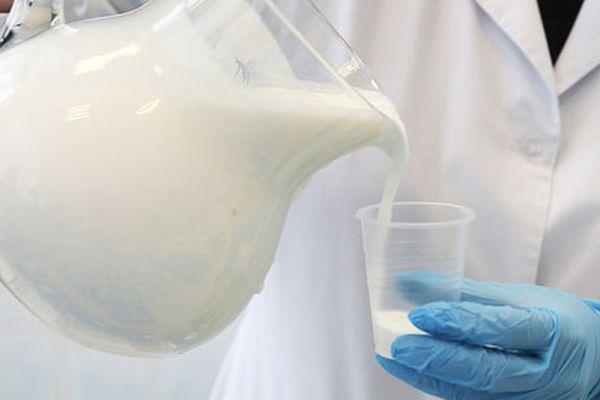 Опасные бактерии найдены в молоке нижегородского производителя
