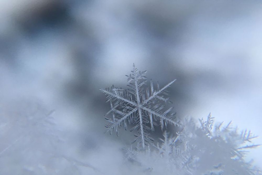 Морозы до -24 градусов ожидаются в Нижегородской области после 5 декабря