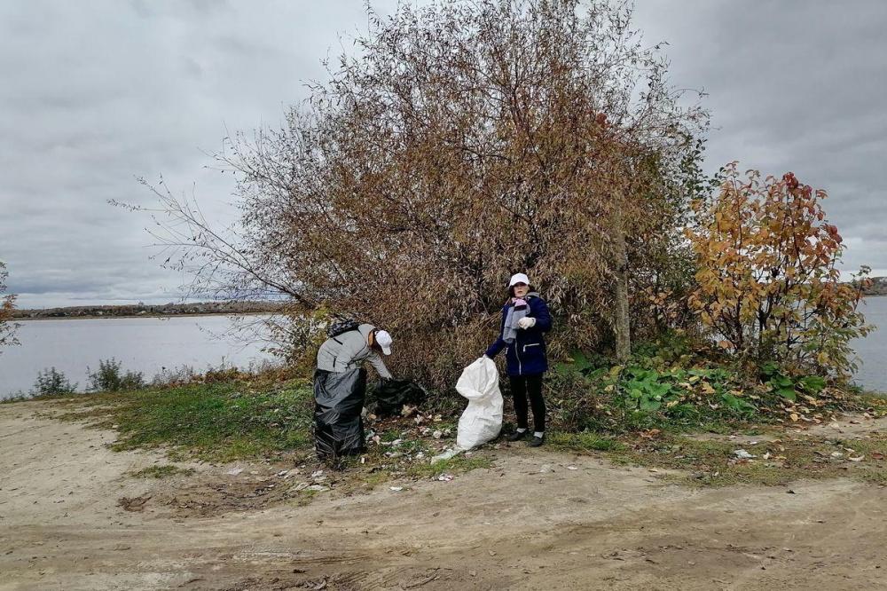 Школьники собрали 33 мешка мусора на берегах реки в Заволжье