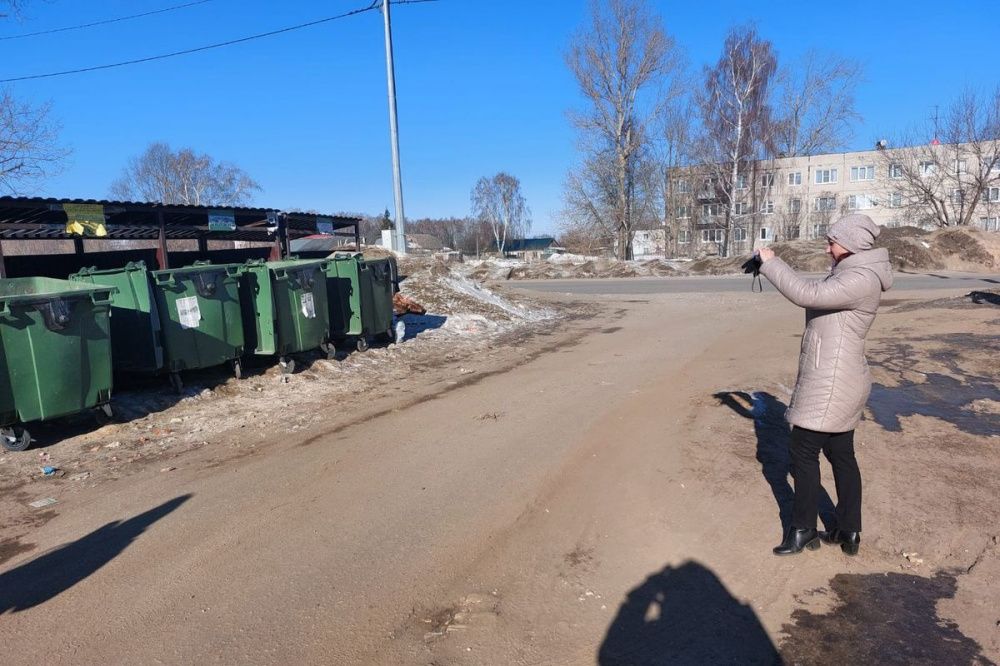 Фото Около 3 тысяч контейнерных площадок проверили в Нижегородской области за два месяца - Новости Живем в Нижнем