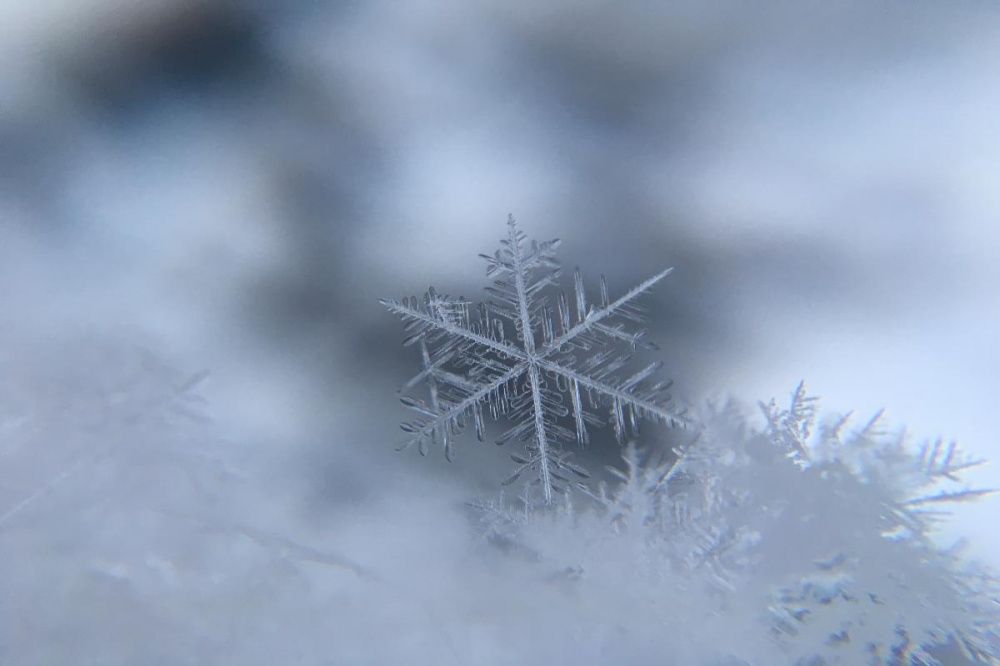 Снежный покров ожидается 17 октября в Нижегородской области