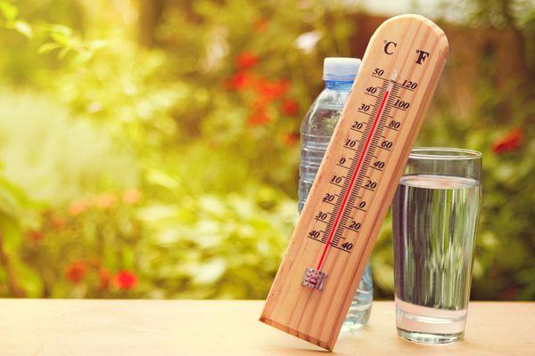 Фото 32 градуса жары ожидается в Нижегородской области с 14 июля - Новости Живем в Нижнем