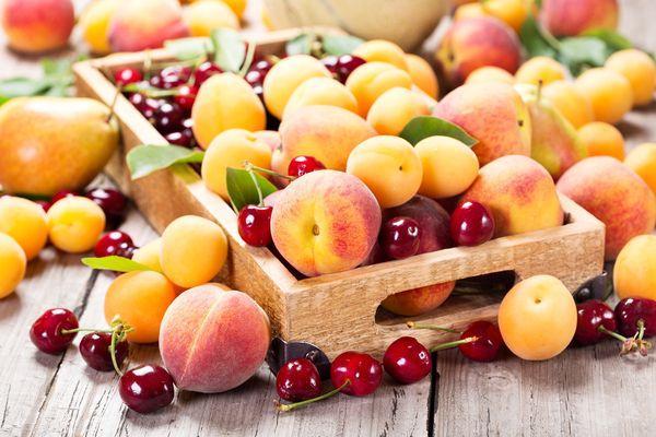 Восточную плодожорку обнаружили в узбекских абрикосах и черешне в Нижегородской области