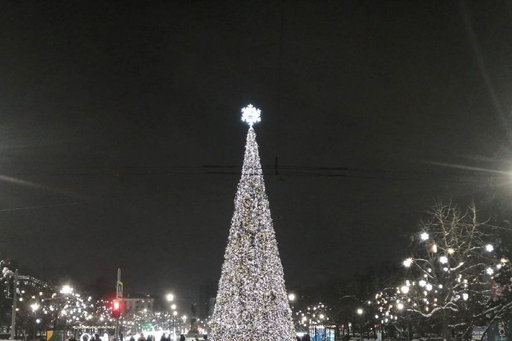 Установка главной новогодней ели в Нижнем Новгороде оценивается в 3,6 млн рублей