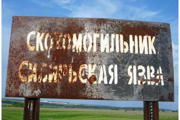 Канализацию и ФОК построят на участке скотомогильника с сибирской язвой в Нижегородской области