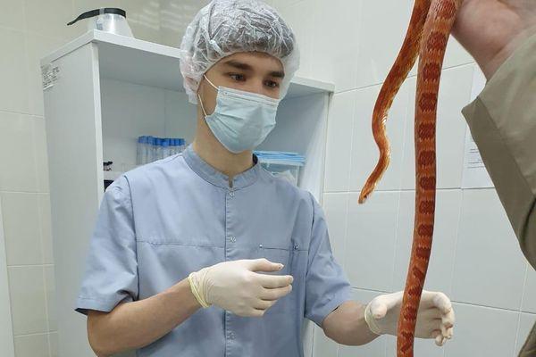 Первый отдел ветеринарной клинической лаборатории открыли в Нижегородской области