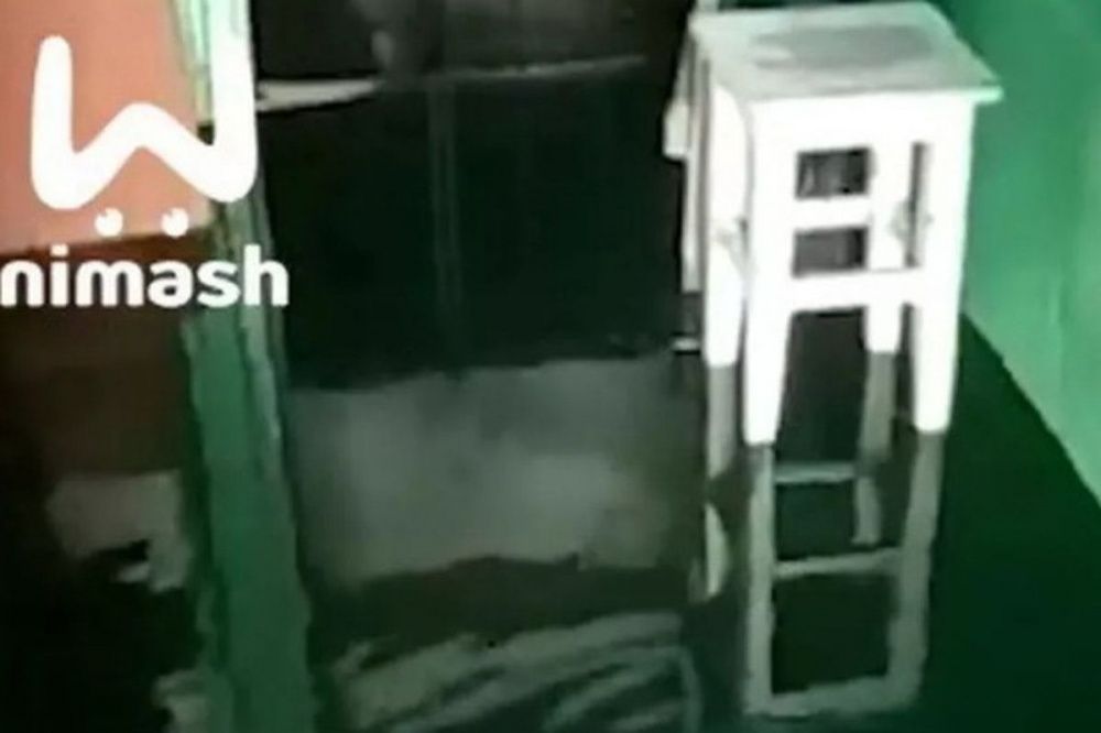 Дома в Балахне затопило фекалиями из-за тряпок в канализации