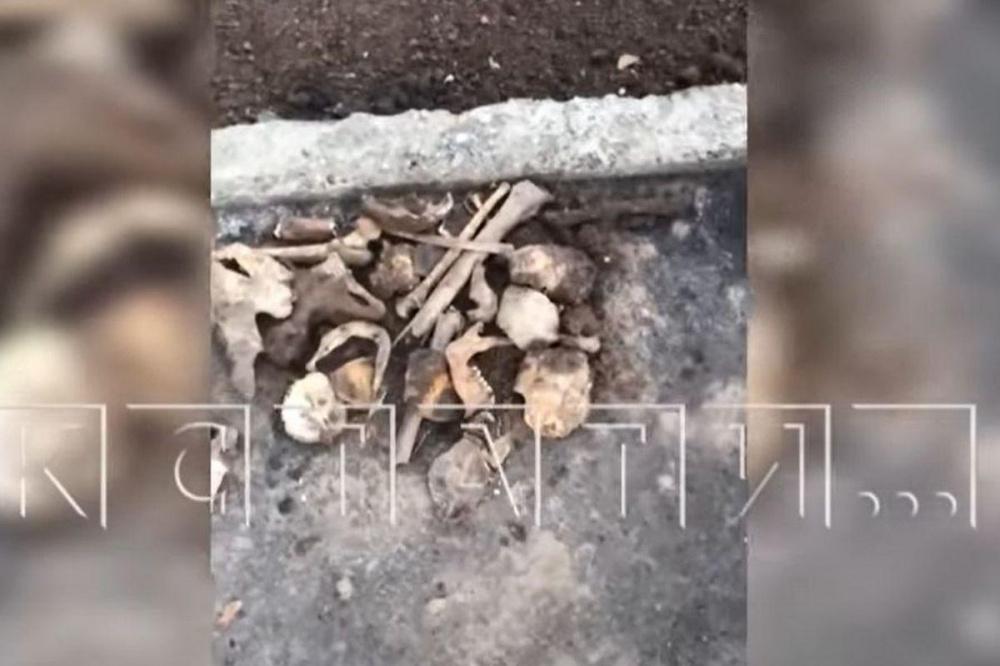 Человеческие останки обнаружены во время благоустройства набережной Федоровского 