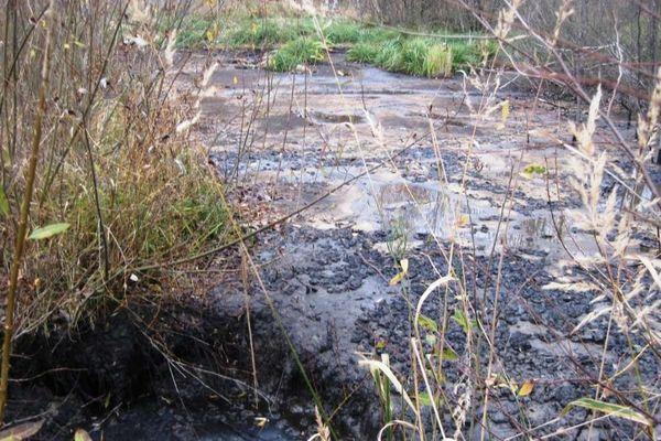Фото «РЖД» признали виновником загрязнения почвы нефтепродуктами в Кстовском районе - Новости Живем в Нижнем