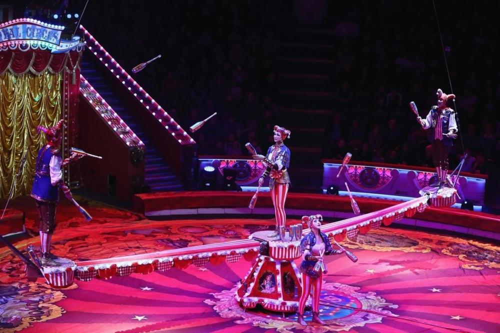 Нижегородским отличникам подарят билеты в цирк