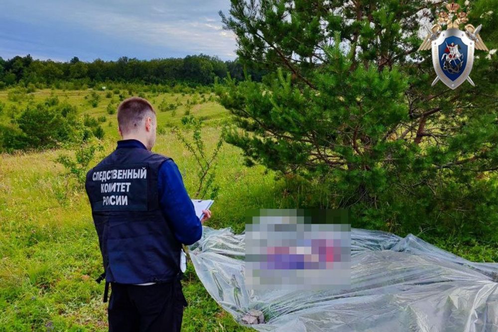 Предполагаемого убийцу ушедшей за ягодами пенсионерки поймали в Починковском районе