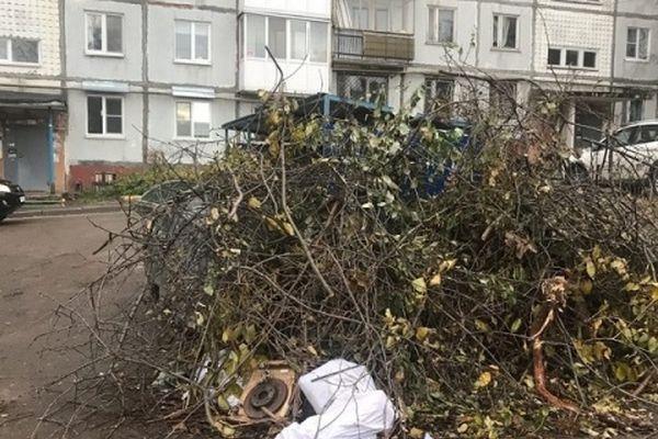 Фото Жители Нижнего Новгорода жалуются на мусоровывозящие компании - Новости Живем в Нижнем