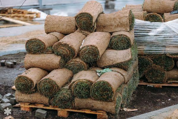 Хранение рулонов газона на пл. Маркина в Нижнем Новгороде в круглосуточны минусовые температуры
