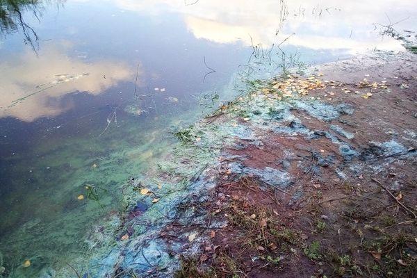 Местные жители обнаружили загрязнение Фото: паблик Типичная Балахна