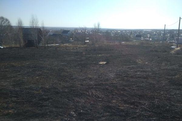 80 случаев возгорание травы на общей площади 45 га зафиксировано с 1 апреля 2021 года в Нижегородской области