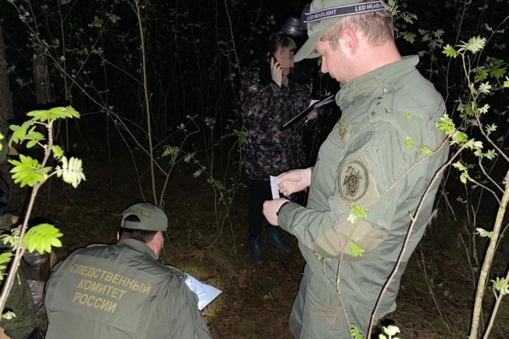 Тело убитой девочки нашли в лесополосе Богородского района Нижегородской области.