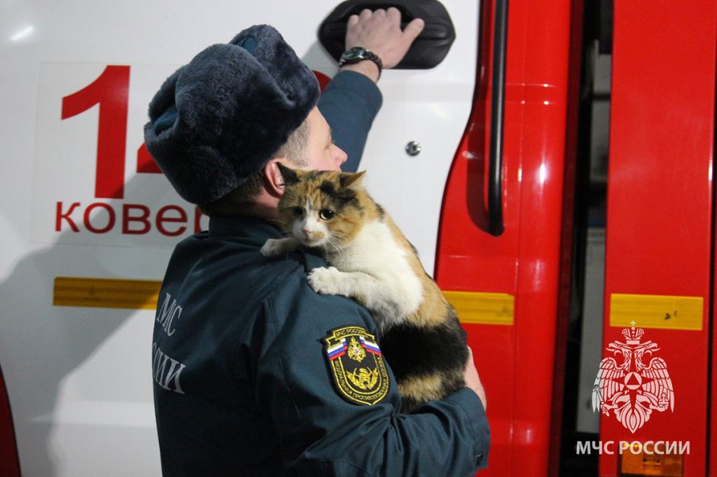 Кот не только талисман пожарной части, но и всеобщий любимец, которого окружили заботой