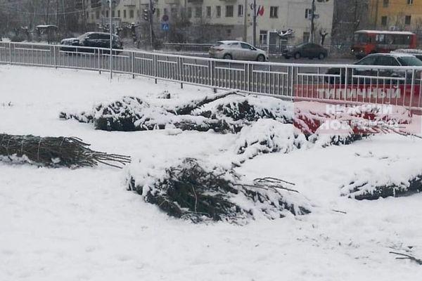 Елки выбросили после празднования Нового Года на улицы Нижнего Новгорода
