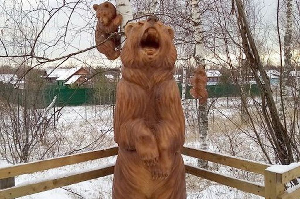Семья медведей появилась в Керженском заповеднике Нижегородской области.