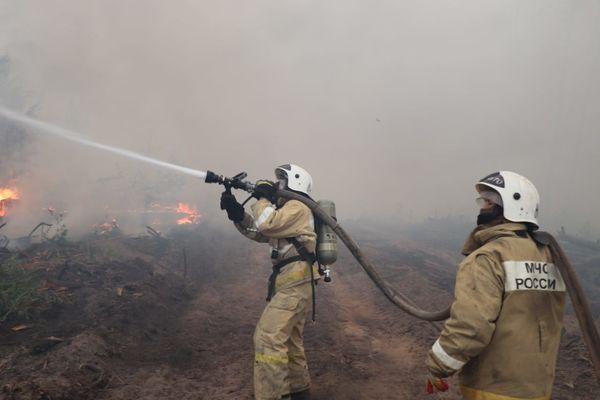 Тушение пожара в заповеднике в Мордовии.