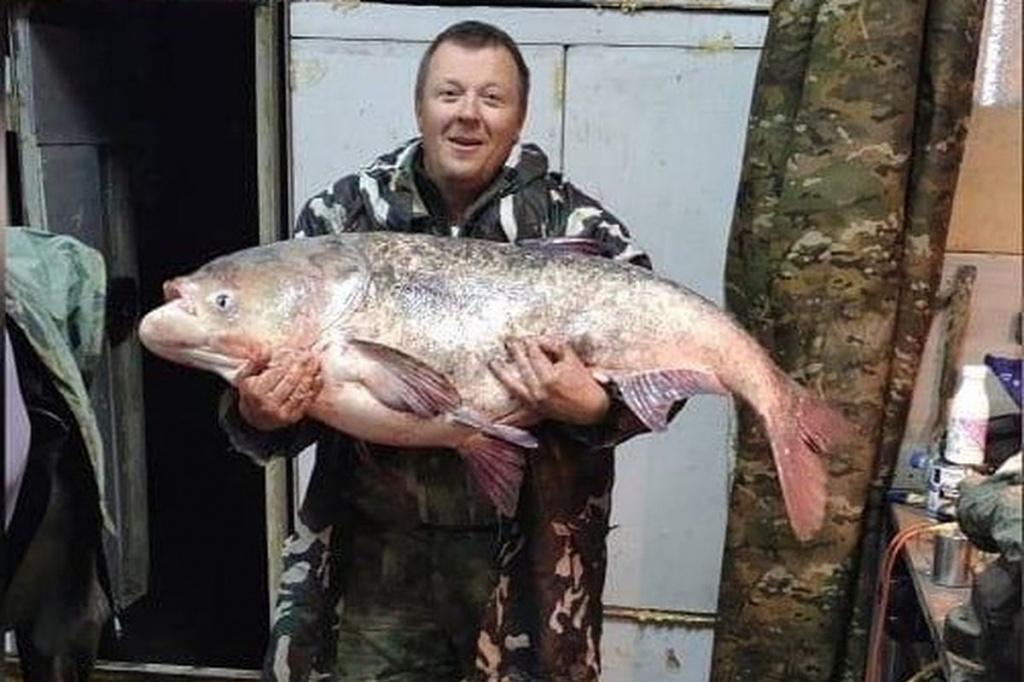 Нижегородец Денис Зверев поймал гигантского толтолобика в Волге.
