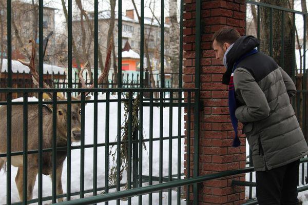 Олень Тор и тренер ХК "Торпедо" в зоопарке "Лимпопо".