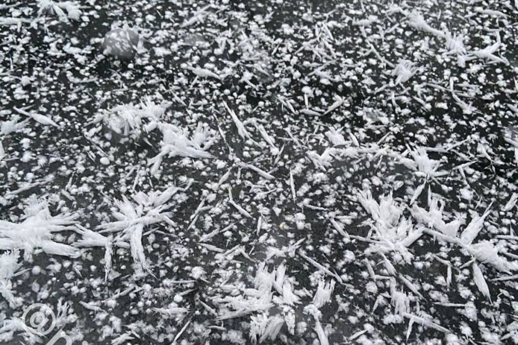 "Ледяные цветы" в Нижнем (Фото: телеграм-канал "Нижний Новгород с огоньком")