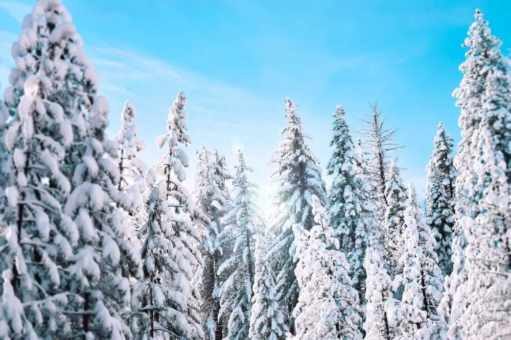 Потепление и снег ожидаются в Нижегородской области в новогоднюю ночь