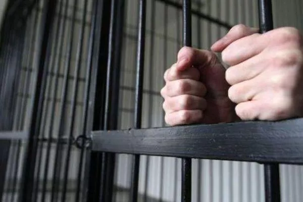 Адвокат из Нижнего Новгорода осужден за мошенничество
