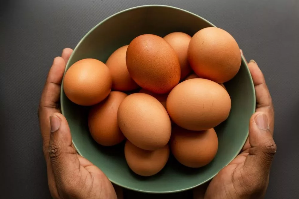 Фото Нижегородские специалисты нашли антибиотики в куриных яйцах - Новости Живем в Нижнем