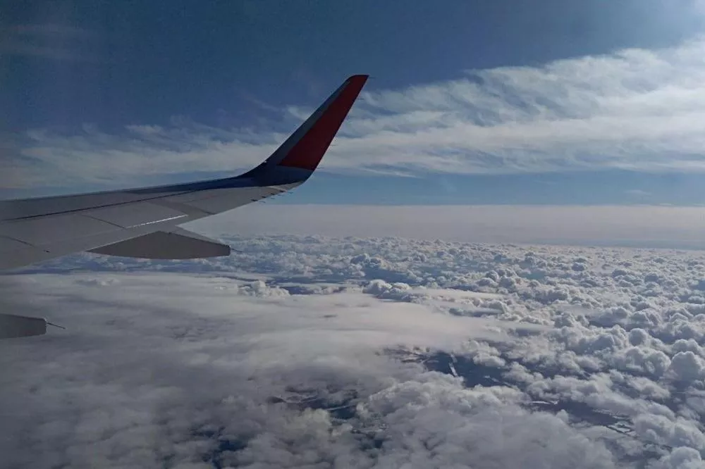 Фото 32 самолёта приземлились в нижегородском аэропорту из-за тумана в Москве 2 ноября - Новости Живем в Нижнем